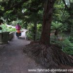 Public Garden in Oamaru