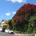 Dunedin - Neuseeland