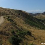 Otago Central Rail Trail