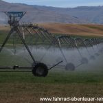 Bewässerung auf Neuseeland