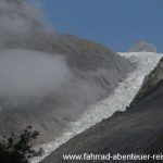 Fox Glacier