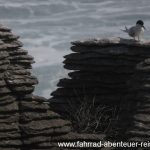 Pancake Rocks