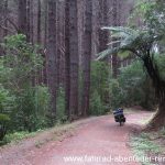 Rimutaka Rail Trail - Radreisen in Neuseeland