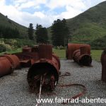 Rimutaka Rail Trail