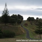 Landschaft hinter Napier