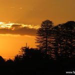 Sunset in Auckland