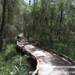 Coombabah Lakelands