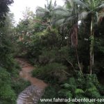 Landschaft in Australien