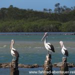 Urunga Lagoon