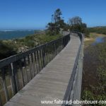 Urunga Lagoon - Mangrovenbäume