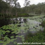Urunga Wetlands