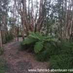 Urunga Wetlands