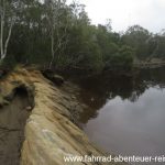 Bellinger River