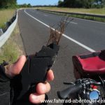 Draht auf der Straße - Radreisen in Australien