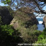 Seal Rocks