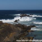 Seal Rocks