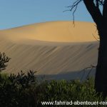 Wanderdünen vor Tea Gardens