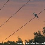 Gewitter im Anmarsch