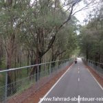 Fernleigh Track