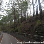 Fernleigh Track