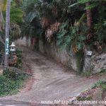 steile Auffahrten in Palm Beach