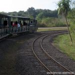 Tren de la Selva