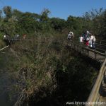 Iguazu-Wasserfälle