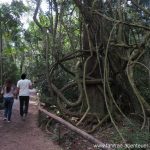 Parque das Aves