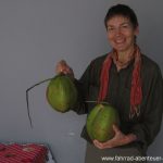 Kokosnüsse in Brasilien