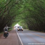 Highway mit Seitenstreifen