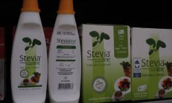 Stevia