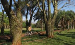 Radreisen in Paraguay