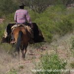 Gaucho in Argentinien