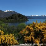 Los Alerces Nacional Parc