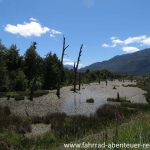 Nördlich von Coyhaique - Carretera Austral