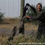 Wäsche trocknen im Wind von Patagonien