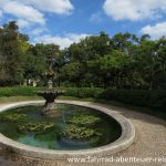 Botanischer Garten Montevideo