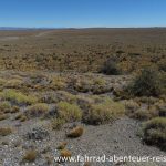 Steppe Patagonien Argentinien