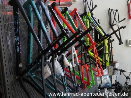 Fahrrad kaufen – alle Fahrradtypen im Vergleich