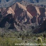 Quebrada de Humahuaca