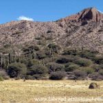 Quebrada de Humahuaca