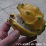 Pitahaya