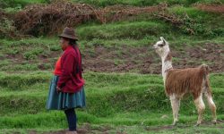 Reiseinfos Peru