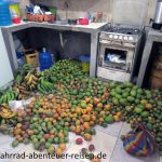 Mangos in Ecuador