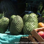 Guanabana in Kolumbien