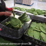 Nopales - Kaktusblätter - vegane Kost