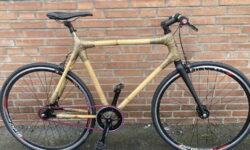 Fahrrad leichter machen - Bambus - Singlespeed